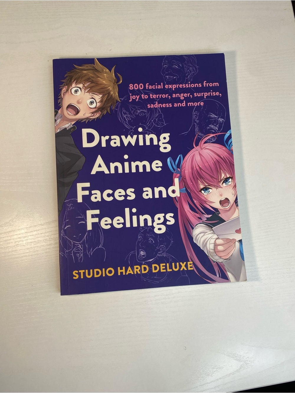 Drawing Anime Faces and Feelings: 800 facial expressions (Paper cover book)